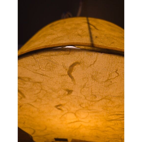 BABY LOONEY TUNES Vintage 2000 Tweety Bird Rice Paper Night Light-Tested/Works - Picture 3 of 13